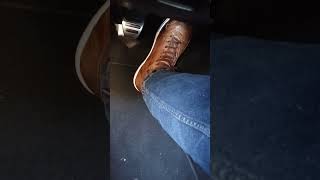 Piloti Apex driving shoes in Cognac color boss302 automobile fordmustang [upl. by Nnyltak]