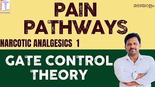 Pain Physiology Malayalam Pain Pathways Analgesics Malayalam Gate Control Theory Narcotic Analgesics [upl. by Boonie523]