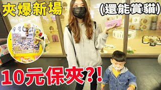 夾爆最新老虎蜜蜂永康店 10元就給你保夾必中【Bobo TV】302claw machine クレーンゲーム [upl. by Aeriela276]