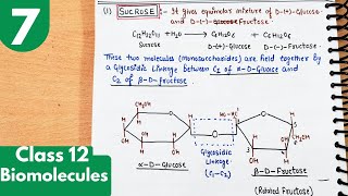 7 Structure of Sucrose Glycosidic linkage Invert sugar Disaccharides Biomolecules class12 [upl. by Haiasi]