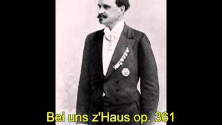 Eduard Strauß Blüthenkranz Johann Straussscher Walzer op 292 [upl. by Kragh228]