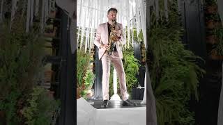 Vente Pa ca Sax Cover Michael Nektalov [upl. by Perlie]