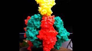 F1 ATPase [upl. by Hanavas]