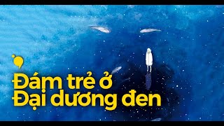 Rồi ai sẽ ở lại cạnh đám trẻ ở đại dương đen [upl. by Teplitz]