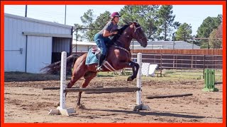 JUMPING MY OTTB [upl. by Dougal]