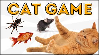 TOP 3 najlepsze gry dla kota 🎮 Pająk I Rybki I Mysz 🕷🐟🐭 CAT GAMES [upl. by Nagam]