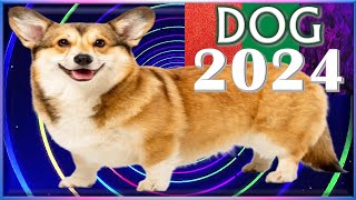 Dog Horoscope 2024 ✩ Born 2018 2006 1994 1982 1970 1958 1946 1934 [upl. by Sualkin]