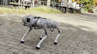 Unitree GO PRO1 Roboterhund DOGRobot Boston Dynamics [upl. by Fabrice]