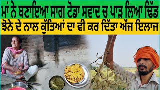 vlog 49 ਮੇਰੇ ਪਿੰਡ ਦੇ ਕੰਮ  punjabi vlogsthe punjab vlog new videothe punjabsada punjab vlog [upl. by Hueston747]