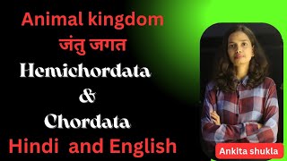 Animal kingdom NeetHemichordata and ChordataHindiEnglish [upl. by Horace]