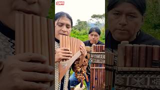 The Sound of Silence  panflute  Flute Quena  Toyus And Sunpa Arts sunmusic panflute sunpa [upl. by Lahcym]