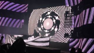 Bassnectar  Frog Song LIVE Detroit MI DOTD 1112014 [upl. by Neeloc]