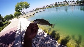 Irvine Fishing At North Lake [upl. by Offen]