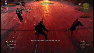 Geralt vs O maior medo de Iris von Everec na DIFICULDADE MAXIMA The Witcher  pc [upl. by Nwahsar]