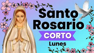 Santo Rosario CORTO misterios Gozosos Lunes 2 de Enero del 2023 🙏🏼🌷 [upl. by Ettelocin]