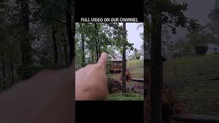 HURRICANE HELENE  Trees Down  Aftermath  Thankful No Structures Hit  subscribe youtubehighfive [upl. by Ahsinid583]