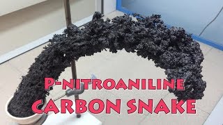 pnitroaniline superfast decomposition big carbon snake [upl. by Shawn]