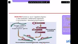 Tumor progression Aneuploidy  Micro RNA  Epigenetic Modifications [upl. by Sibylle125]