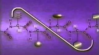 QUIMICA POLIMEROS HELICE ALFA [upl. by Attennaj]