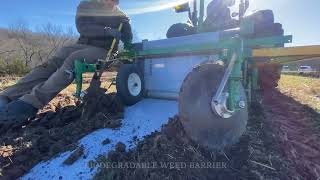 American Elderberry Custom Planting In Eagle Rock MO [upl. by Xymenes265]