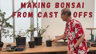 Bonsai From Cast Offs [upl. by Aicilaf]