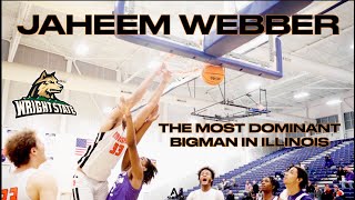 Jaheem Webber  The Most Dominant Big in Illinois Official Senior Year Mixtape [upl. by Oinimreh]