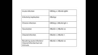 Hepatitis B serology [upl. by Niawtna622]