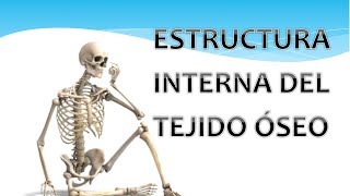 Estructura interna del tejido óseo [upl. by Verna]