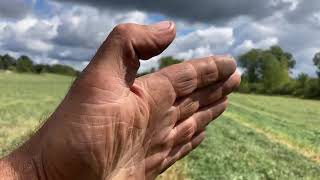 Hay rake vs Tedder in field comparison part 1 [upl. by Austin]