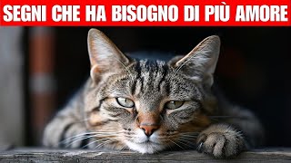 6 segni che il vostro gatto non è legato a voi [upl. by Inaboy]