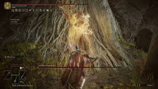 Elden Ring DLC  DarkLight Catacombs  Jori Elder Inquisitor Boss fight amp Drop [upl. by Anissej141]