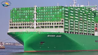 BIGGEST CONTAINER SHIP EVER ACE Maiden call at ROTTERDAM Port  Shipspotting September 2021 [upl. by Sanjay284]