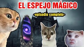 EL ESPEJO MÁGICO episodio completo meme de gatos [upl. by Gokey]