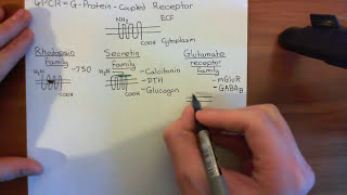 Cholera Toxin and Pertussis Toxin Part 1 [upl. by Anuska]