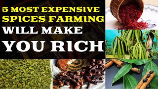 5 MOST EXPENSIVE SPICE FARMING BUSINESS WILL MAKE YOU RICH  5 Expensive Spice Foods In The World [upl. by Yalhsa]