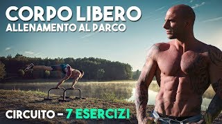 Circuito Corpo Libero  Bicipiti Tricipiti Petto Dorso Spalle e Addome ▪ WORKOUT al PARCO [upl. by Saretta]