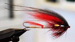 Tying Euro Style Scandi Flies For PNW Steelhead [upl. by Hasan]