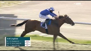 Devastating Khuzaam bolts up at Lingfield [upl. by Syned657]