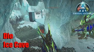 ASA Schwarze Perlen und die IceCave  Ark Ascended German [upl. by Ozzy]