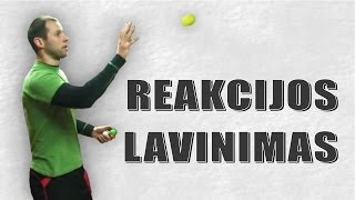 Reakcijos lavinimas [upl. by Iphigenia]