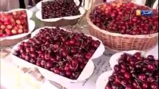 LES CERISES DE TLEMCEN [upl. by Pillsbury972]