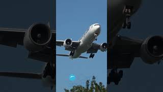 BOEING 777 LANDING [upl. by Fish]