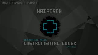 Rammstein  Haifisch instrumental cover Rammstein Paris [upl. by Enitsugua]