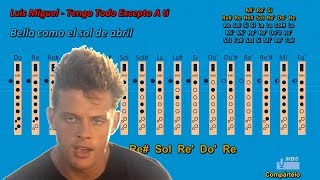 Tengo Todo Excepto A ti  Luis Miguel  Flauta dulce  Tutorial con notas tipo karaoke [upl. by Tubb]