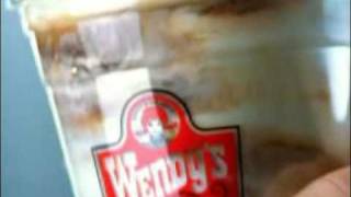 Wendys Commercial featuring Dallas from quotRock of Lovequot [upl. by Aenyl522]