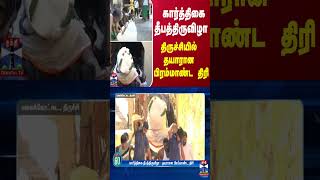 கார்த்திகை தீபத்திருவிழா  தயாரான பிரம்மாண்ட திரி  Trichy  Malaikottai  ThanthiTV [upl. by Aerdnod]