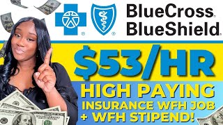 BLUE CROSS BLUE SHIELD WORK FROM HOME  HEALTHCARE REMOTE JOBS  ONLINE JOBS [upl. by Lesna272]