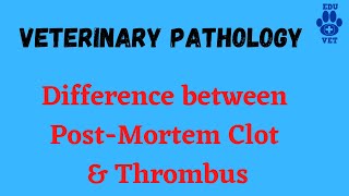 Difference between PostMortem Clot amp Thrombus [upl. by Aimerej113]