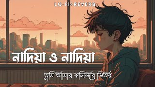 Nadia O Nadia  নাদিয়া ও নাদিয়া  MH Payel  Slowed amp Reverb  Sad Song  Bengali Lofi Song 2023 [upl. by Bazil728]