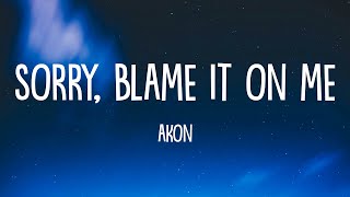 Akon  Sorry Blame It On Me Lyrics [upl. by Ayyidas]